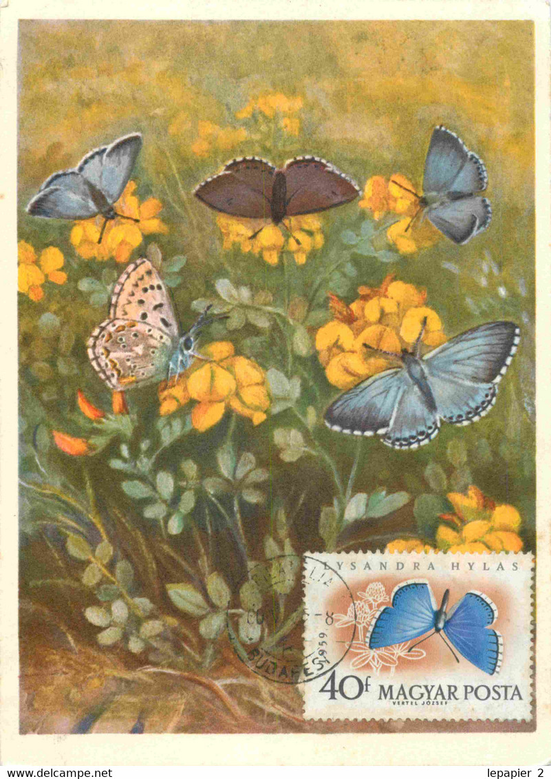 Hongrie Hungary Magyar Posta Lot Of 7 Maximum Cards CM Maxicard  Papillon Butterfly - Tarjetas – Máximo