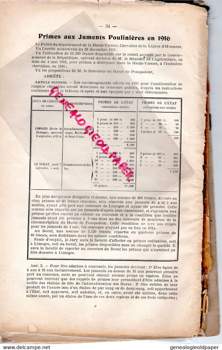 87-19-23- LIMOGES- LE LIMOUSIN HIPPIQUE-1916- GRAND BOURG-ESSENAC-MASLEON-LA BORIE-COUZEIX-BOISSEUIL-DORAT-TERSANNES- - Limousin