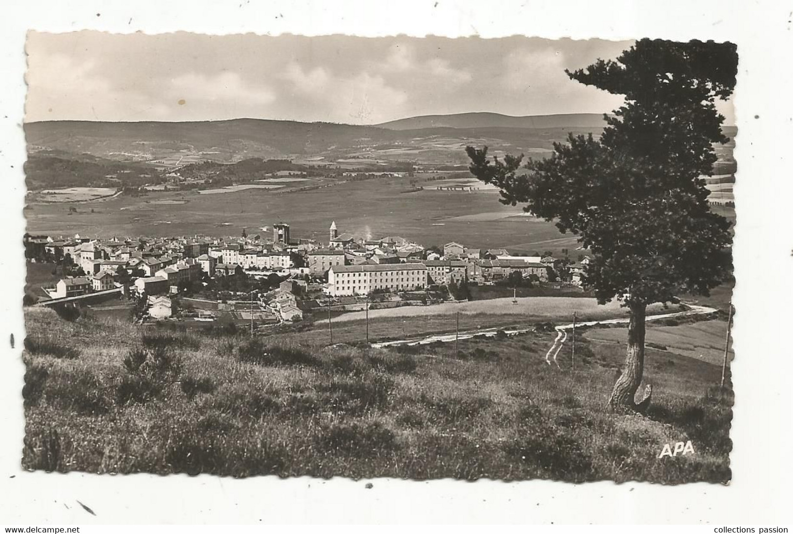 Cp , 43, SAUGUES ,  Vue Générale ,  Voyagée 1958 - Saugues