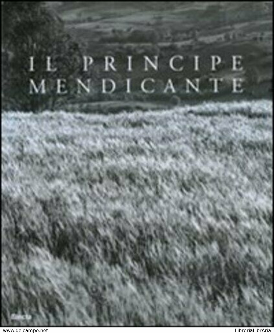 Il Principe Mendicante: Photographic Tribute To St. Francis Caracciolo [in Engli - Art, Design, Décoration