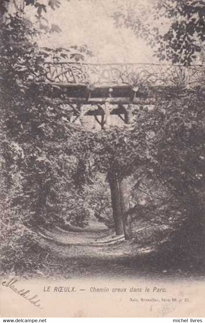 Le Rœulx - Chemin Creux Dans Le Parc - Circulé En 1905 - Dos Non Séparé - TBE - Le Roeulx