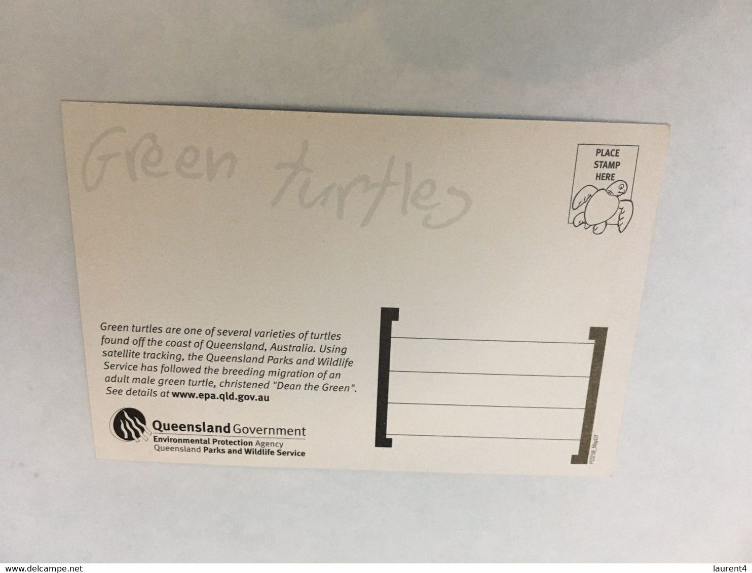 (ZZ 35)  Green Tortoise Hatching / Tortue - Tortugas