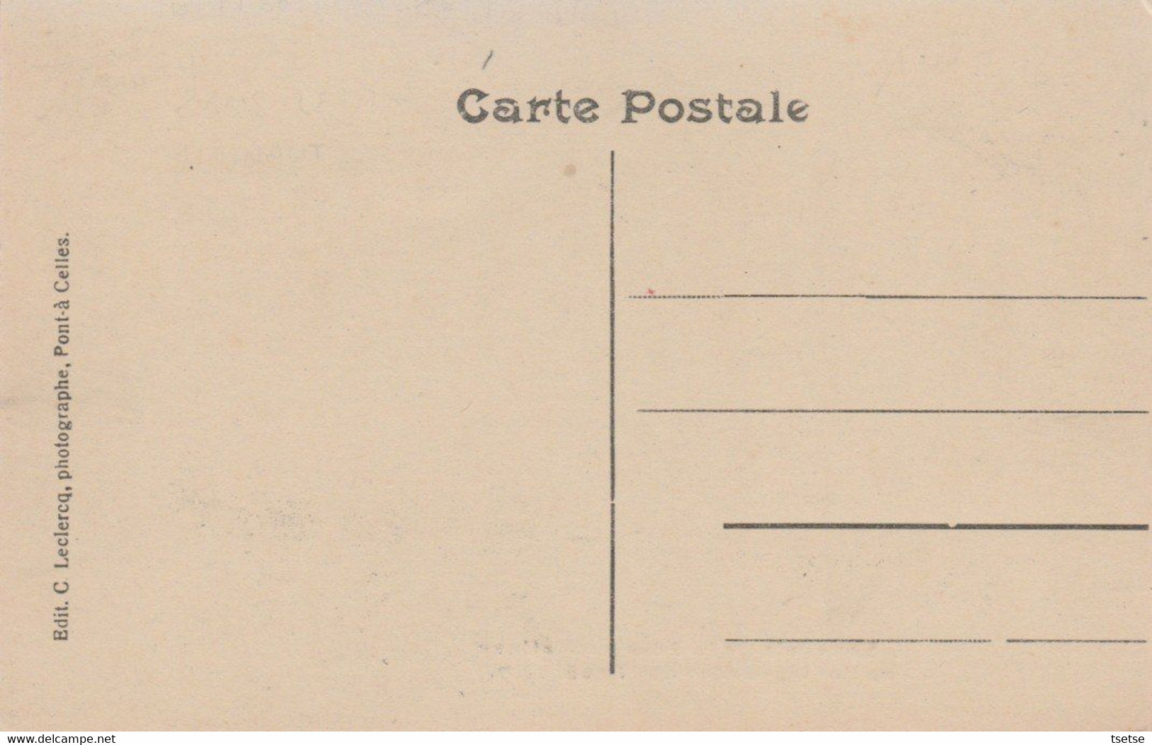 Pont-à-Celles - Fête Patriotique Du 17 Août 1919 - Cortège ( Voir Verso ) - Pont-à-Celles