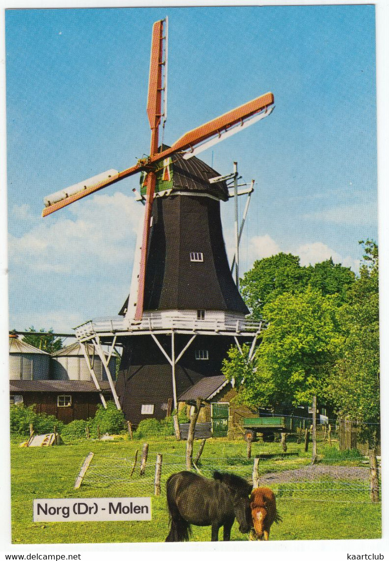 Norg - Molen -  (Drenthe, Holland) - NOG 3 - Norg