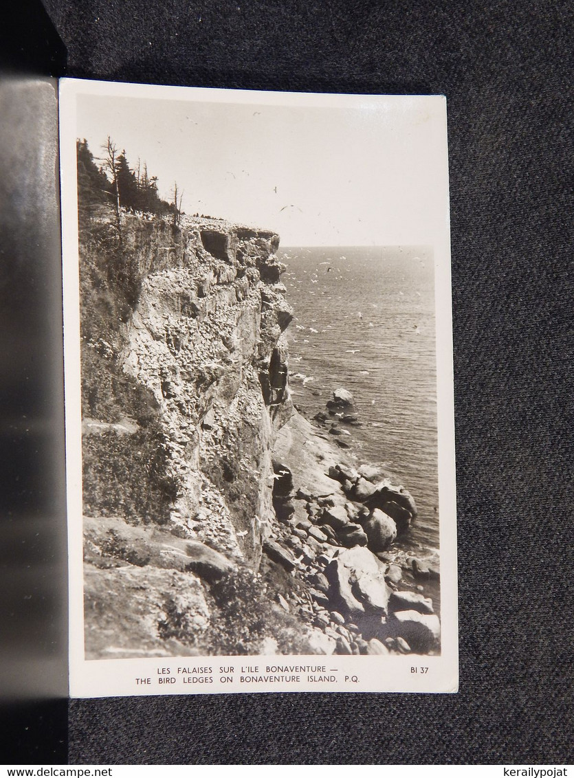 Canada Bonaventure Island Bird Ledges__(14909) - Percé