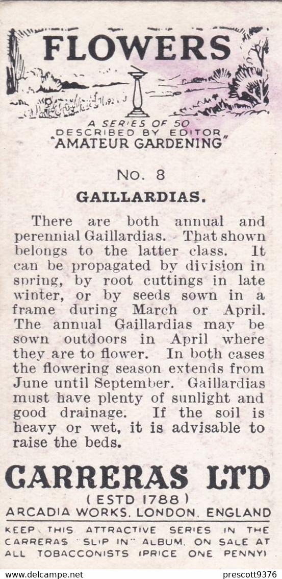 Carreras Cigarette Card - Flowers - 1936 - 8 Gailiardias - Player's
