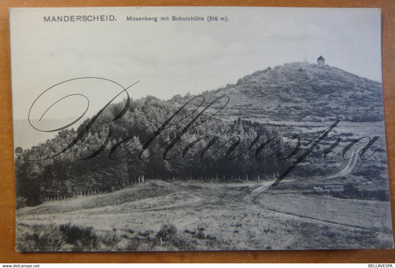 Manderscheid Mosenberg Mit Schutzhütte (519 M) N°4 - Manderscheid