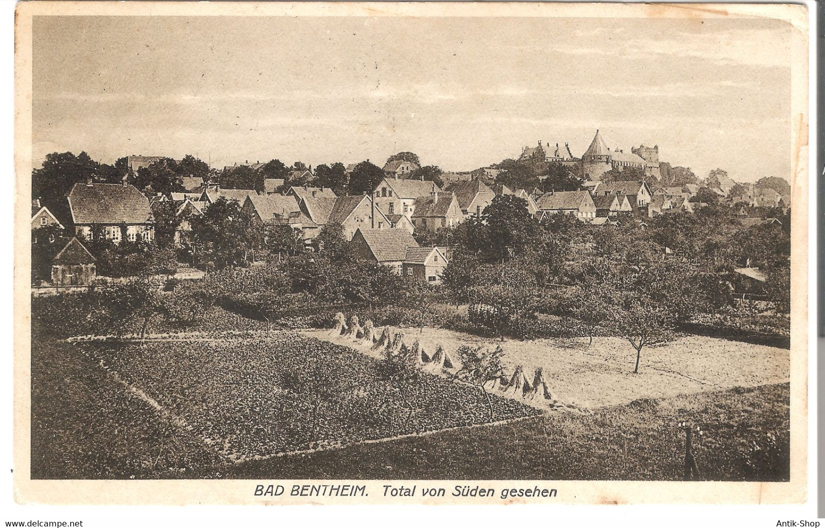 Bad Bentheim - Total Von Süden Gesehen  V. 1925 (5197) - Bad Bentheim