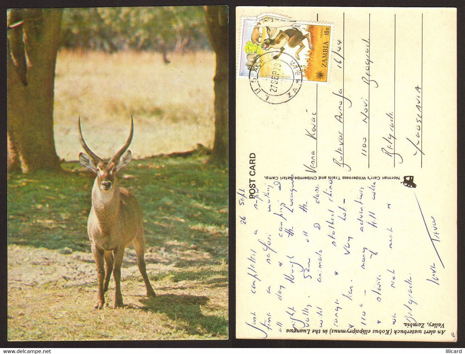 Zambia Luangwa Valley Kobus Nice Stamp #19627 - Zambie