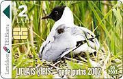 LATVIA- BLACK- HEADED GULL- BIRD 2002 - Lettonia