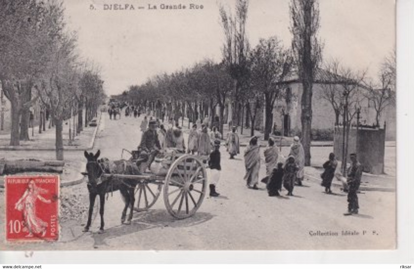 ALGERIE(DJELFA) - Djelfa