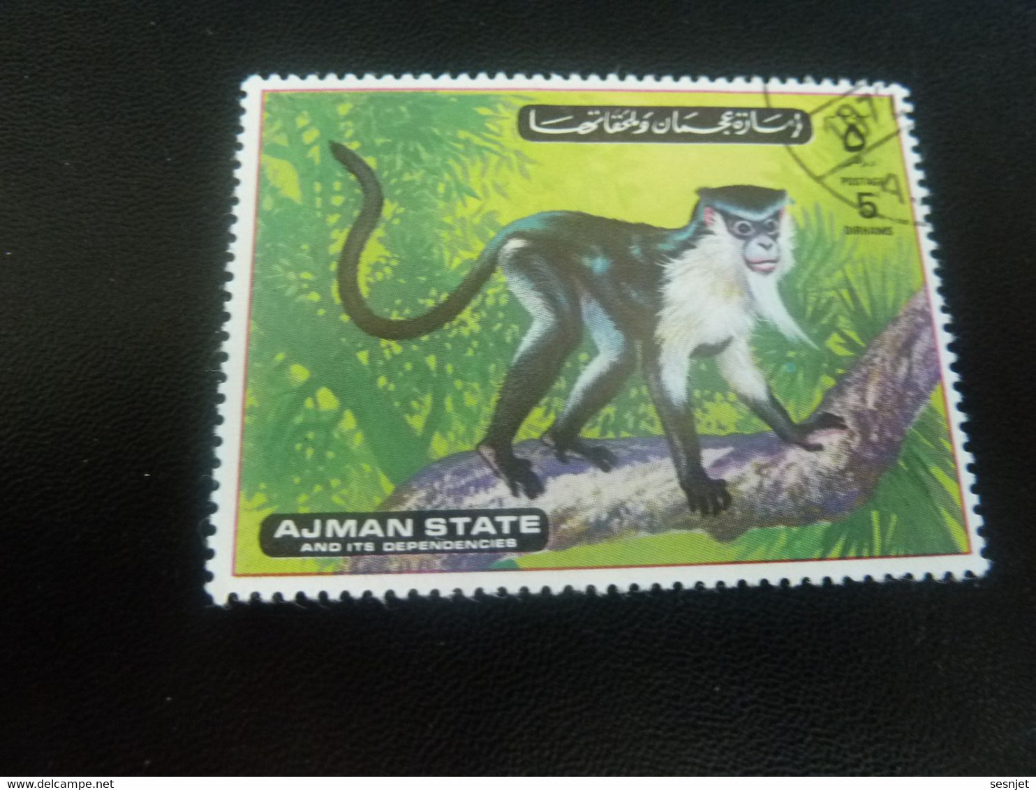 AJMAN  State And Its Dependencies - Singe - 5 Dirhams - Postage - Polychrome - Oblitéré - Année 1972 - - United Arab Emirates (General)