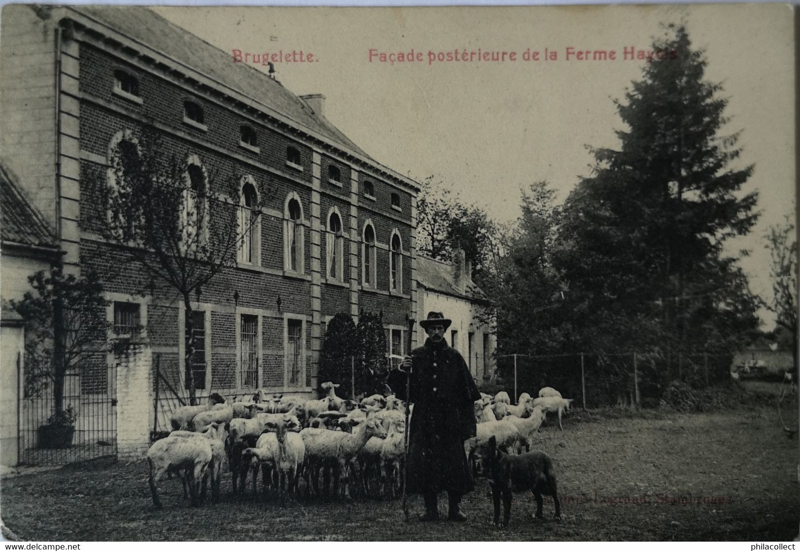 Brugelette // Façade Posterieure De La Ferme Hayois 1910 - Brugelette