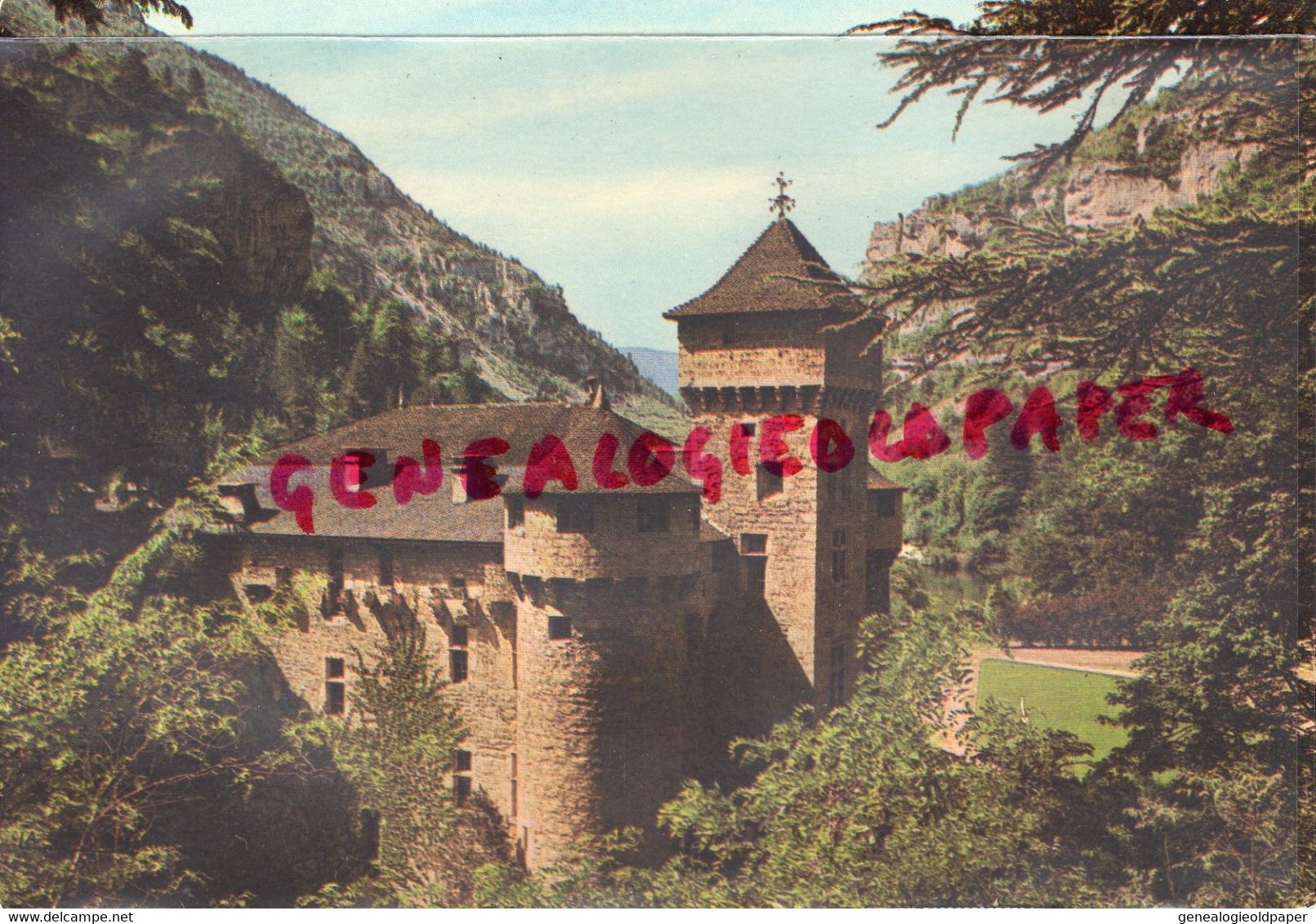 48- CHATEAU DE LA CAZE - GORGES DU TARN  - LOZERE - Chateauneuf De Randon