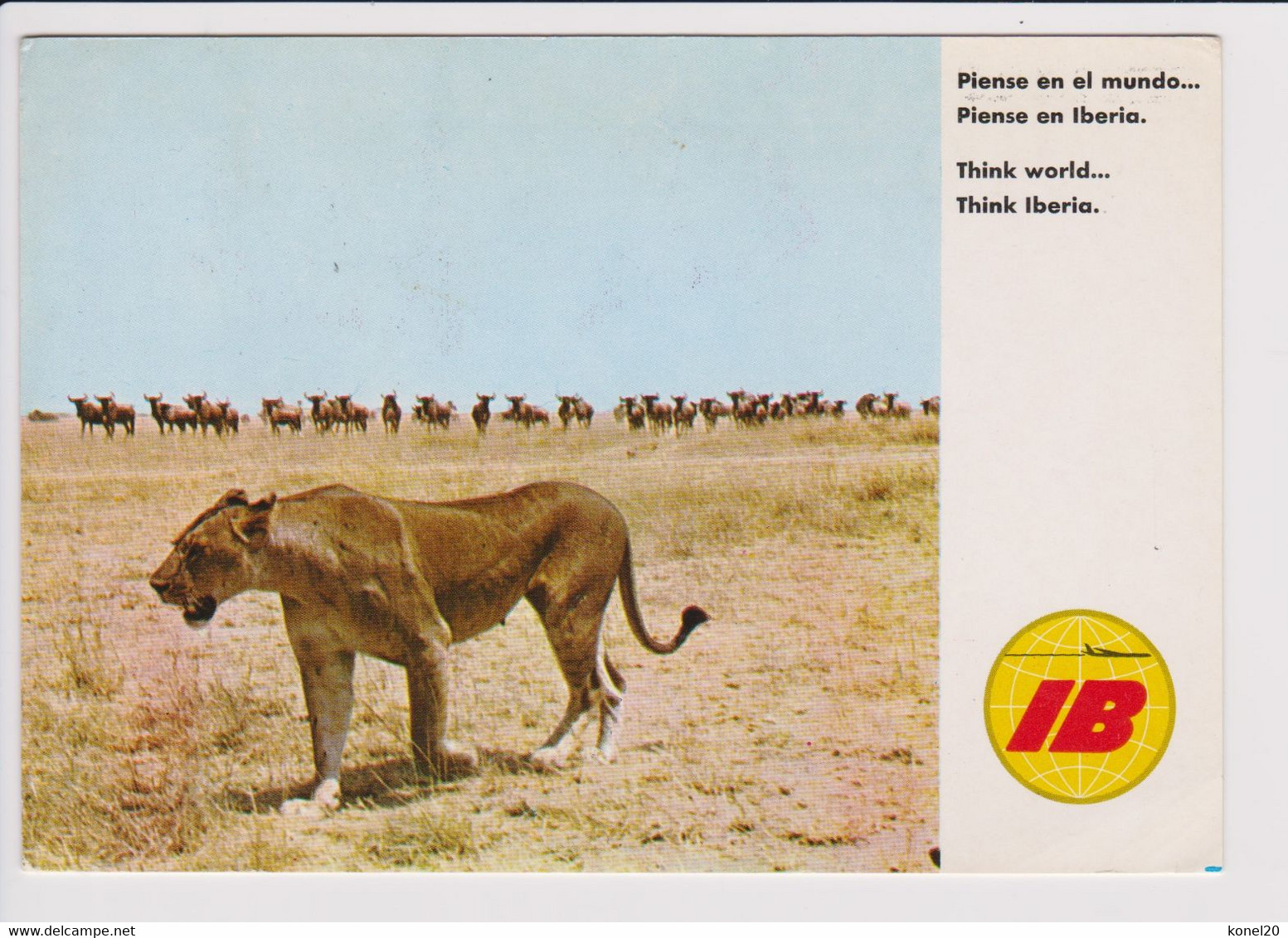 Vintage Rppc Iberia Promotion Card "Africa" - 1946-....: Modern Tijdperk