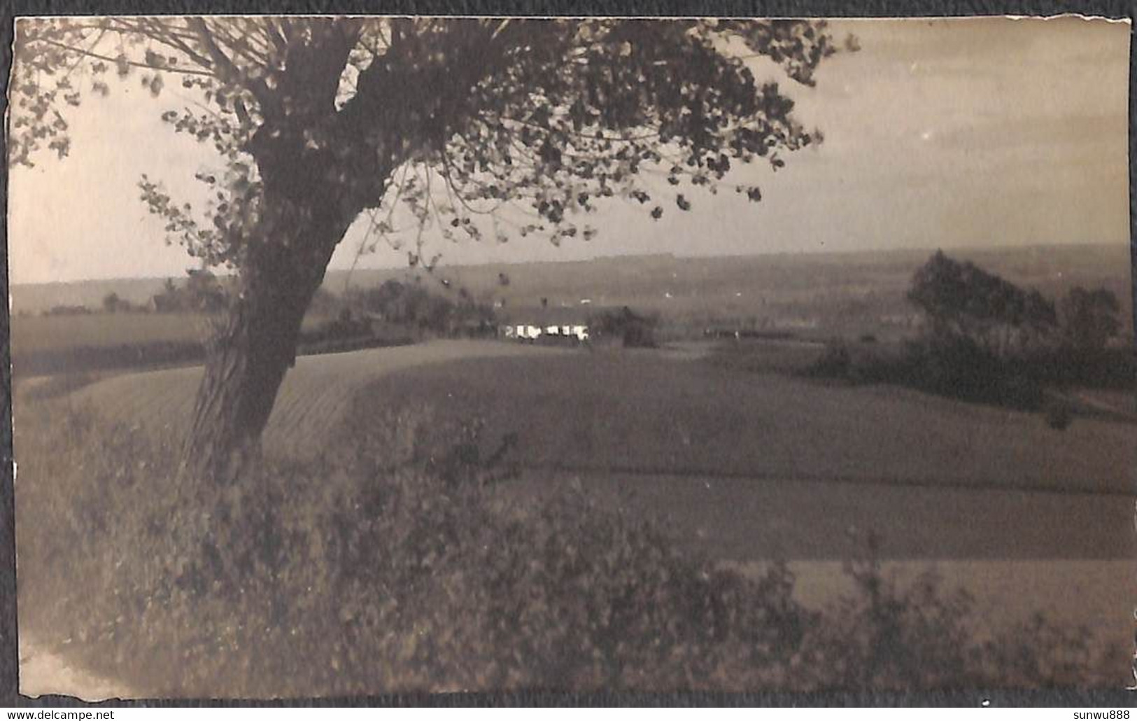 Comines - Carte Photo D'Art N. Verheyde - Komen-Waasten