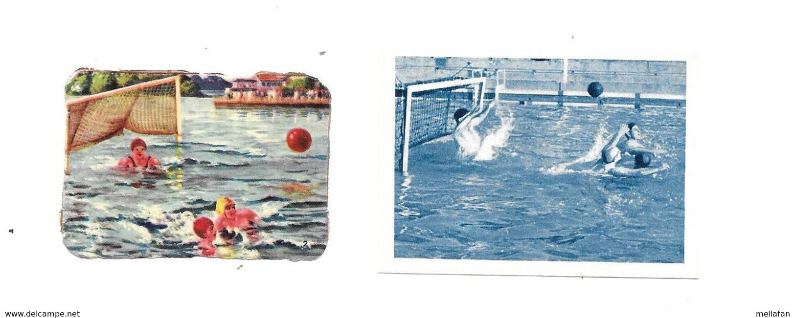 CT50 - IMAGES DIVERSES - WATER POLO - Swimming