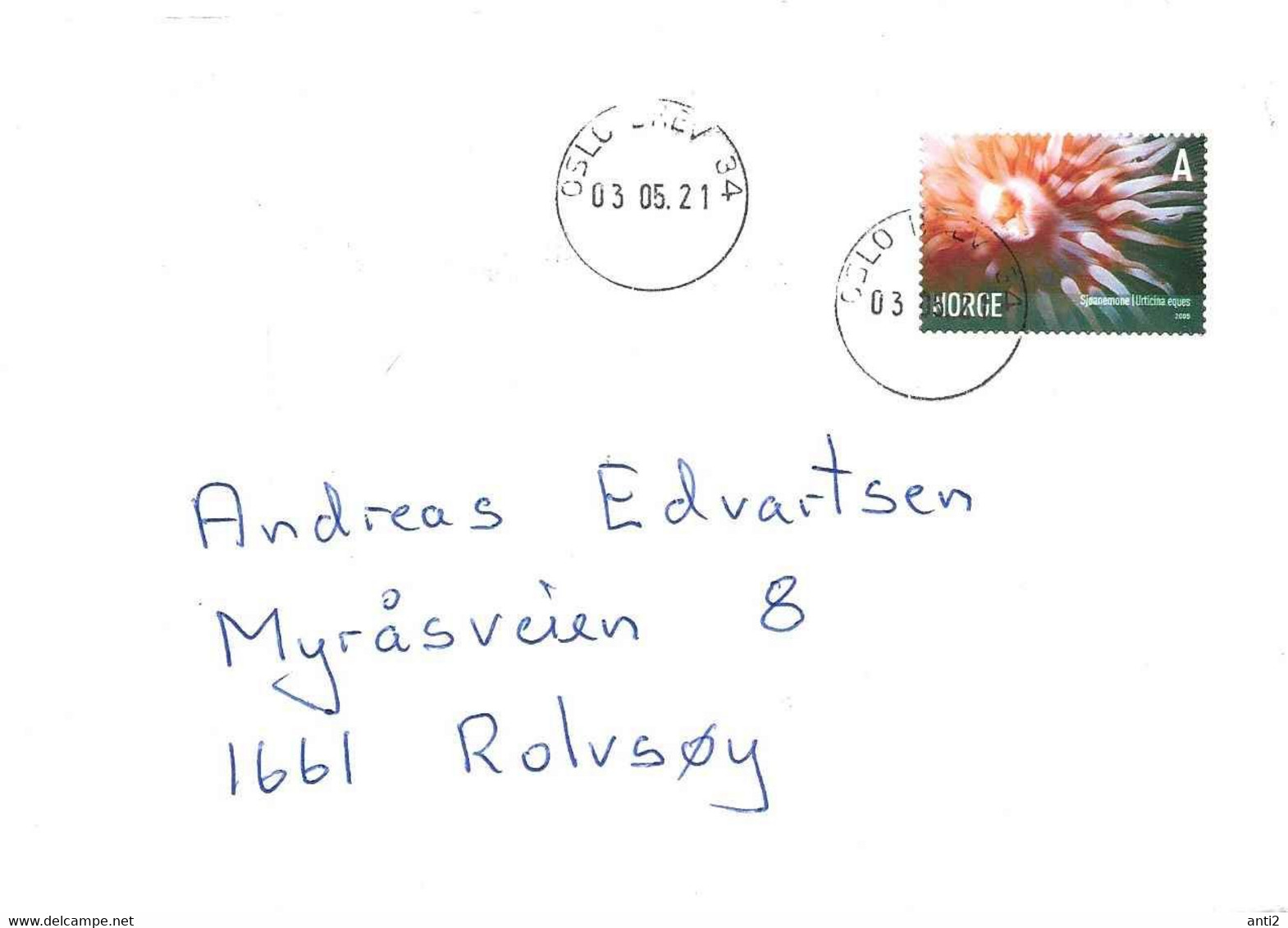 Norway 2005 / 2021 Cover With Mi 1545 Sea Animals, Sea Anemone (Urticina Eques)  Cancelled Oslo Brev 3.5.21 - Covers & Documents