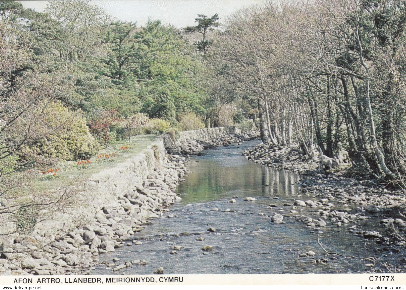 Postcard Afon Artro Llanbedr Meirionnydd Cymru My Ref B25137 - Merionethshire