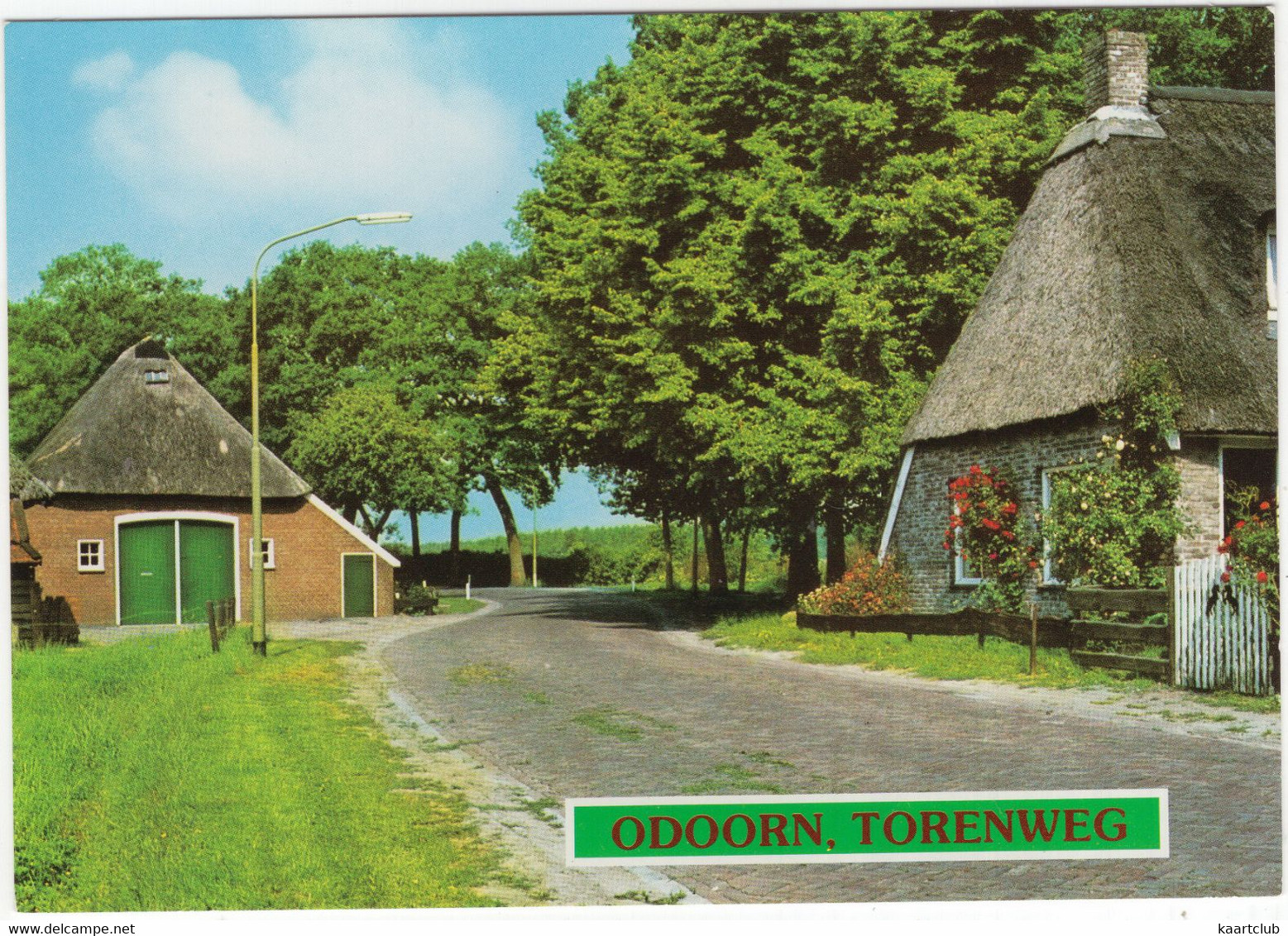 Odoorn - Torenweg - Boerderijen - (Drenthe, Holland) - Nr. L 6824 - Odoorn