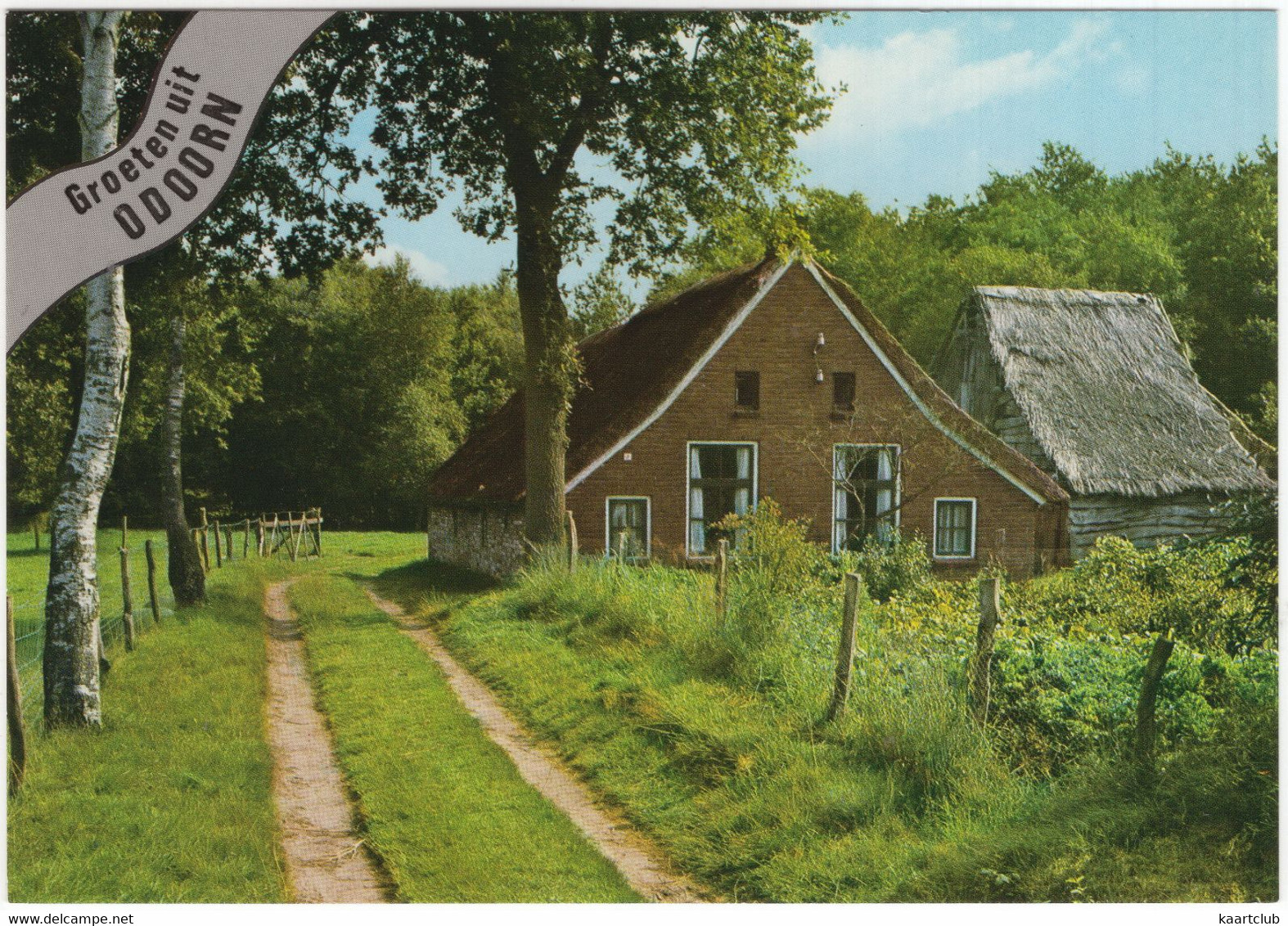 Odoorn - Onverharde Weg Naar Boerderijtje - (Drenthe, Holland) - Nr. L 6651 - Odoorn