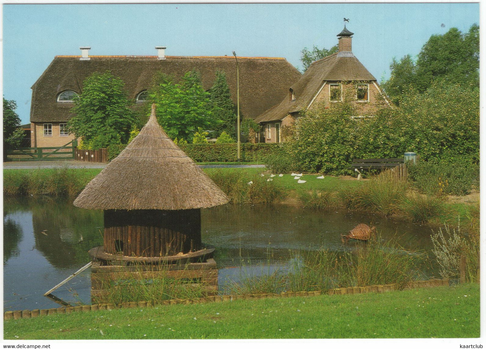 Odoorn - Eendenkuil Bij Boerderij - (Drenthe, Holland) - Odoorn