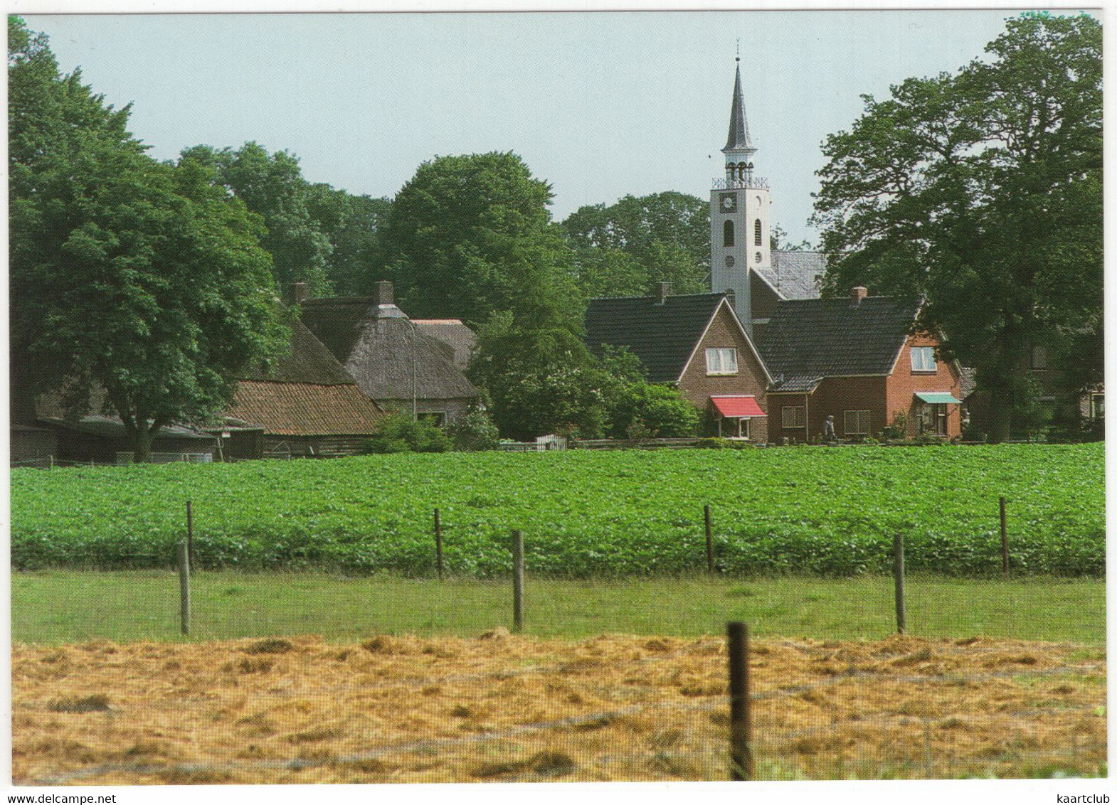 Gezicht Op Odoorn Vanaf De Hammeerweg - (Drenthe, Holland) - Odoorn