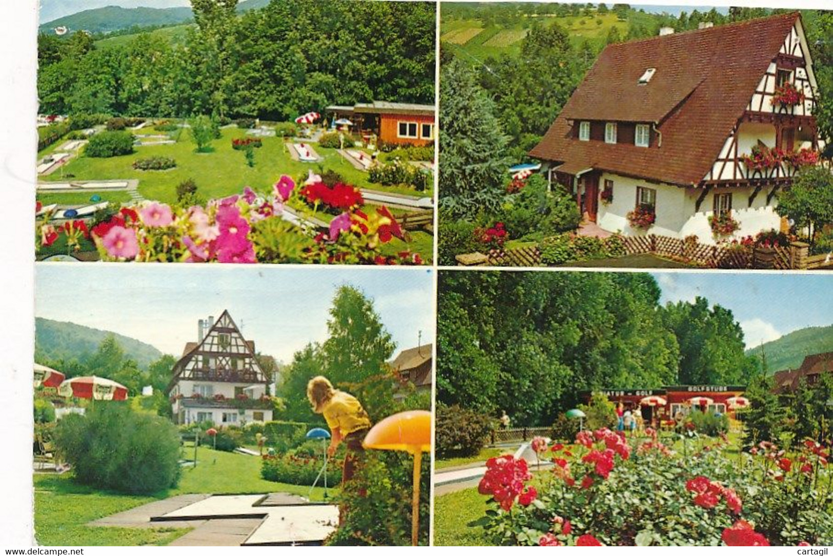 CPM GF-22296-Allemagne -Mehransichten  Miniatur-Golfplatz Sasbachwalden ( Fehlerhaft)- Envoi Gratuit - Sasbach