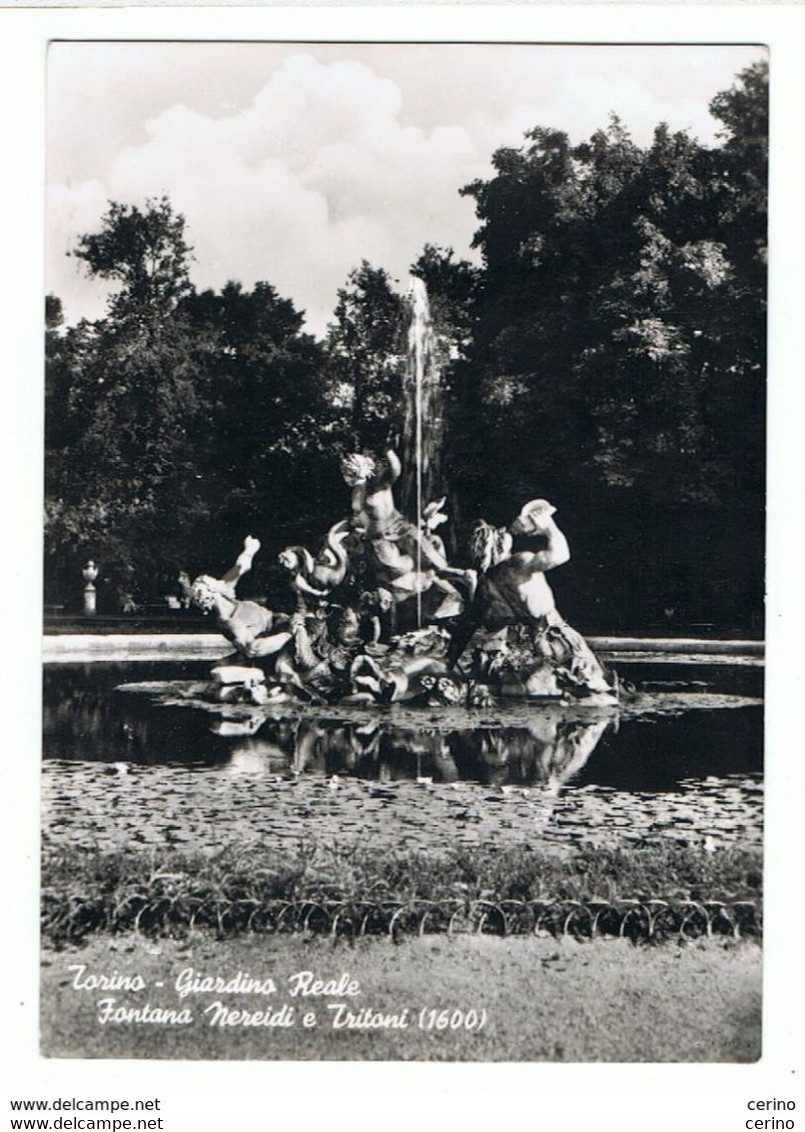 TORINO:  GIARDINO  REALE  -  FONTANA  NEREIDI  E  TRITONI  -  FOTO  -  FG - Palazzo Reale