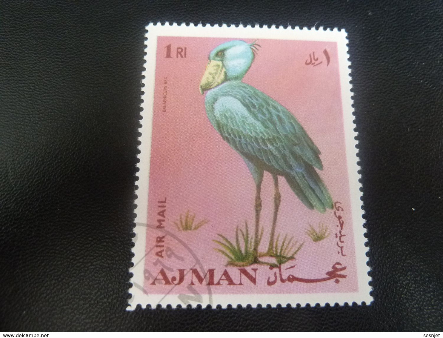 Ajman - Balaeniceps Rex - 1 RI - Air Mail - Oblitéré - Polychrome - Année 1971 - - Fenicotteri