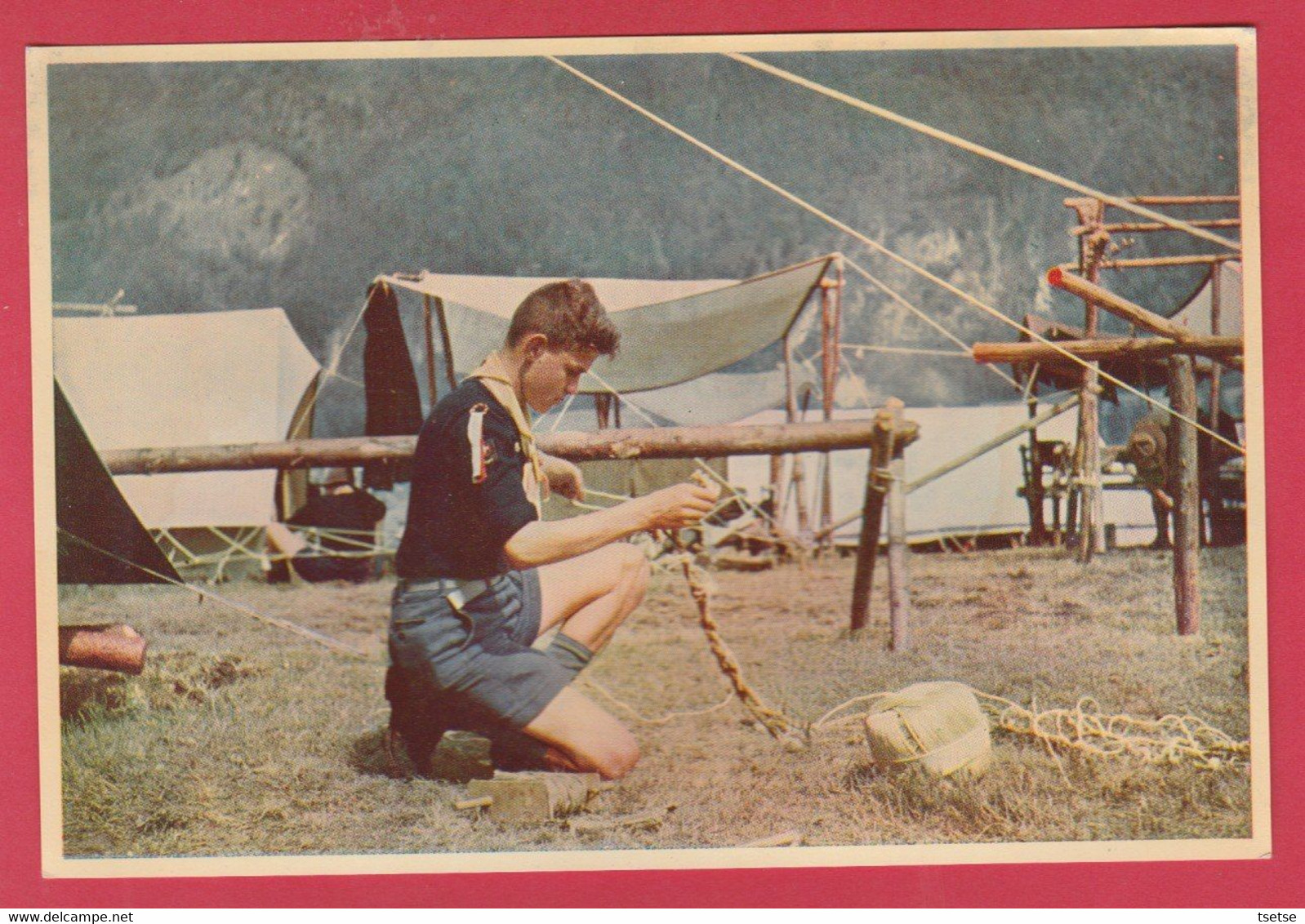 Scoutisme - Jamborée 1951 / Rassemblement - Bad Ischl ( Autriche ) - Travail Des Noeuds ( Voir Verso ) - Scoutismo