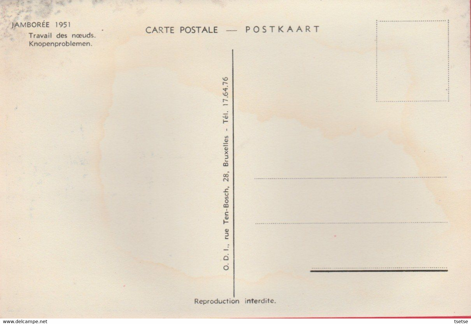 Scoutisme - Jamborée 1951 / Rassemblement - Bad Ischl ( Autriche ) - Travail Des Noeuds ( Voir Verso ) - Scoutismo