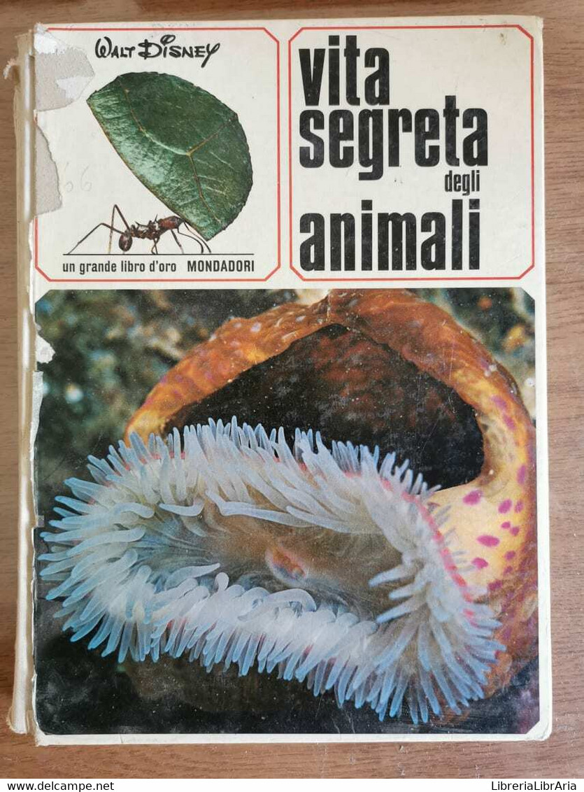 Vita Segreta Degli Animali - G. Zanini - Mondadori - 1969 - AR - Nature
