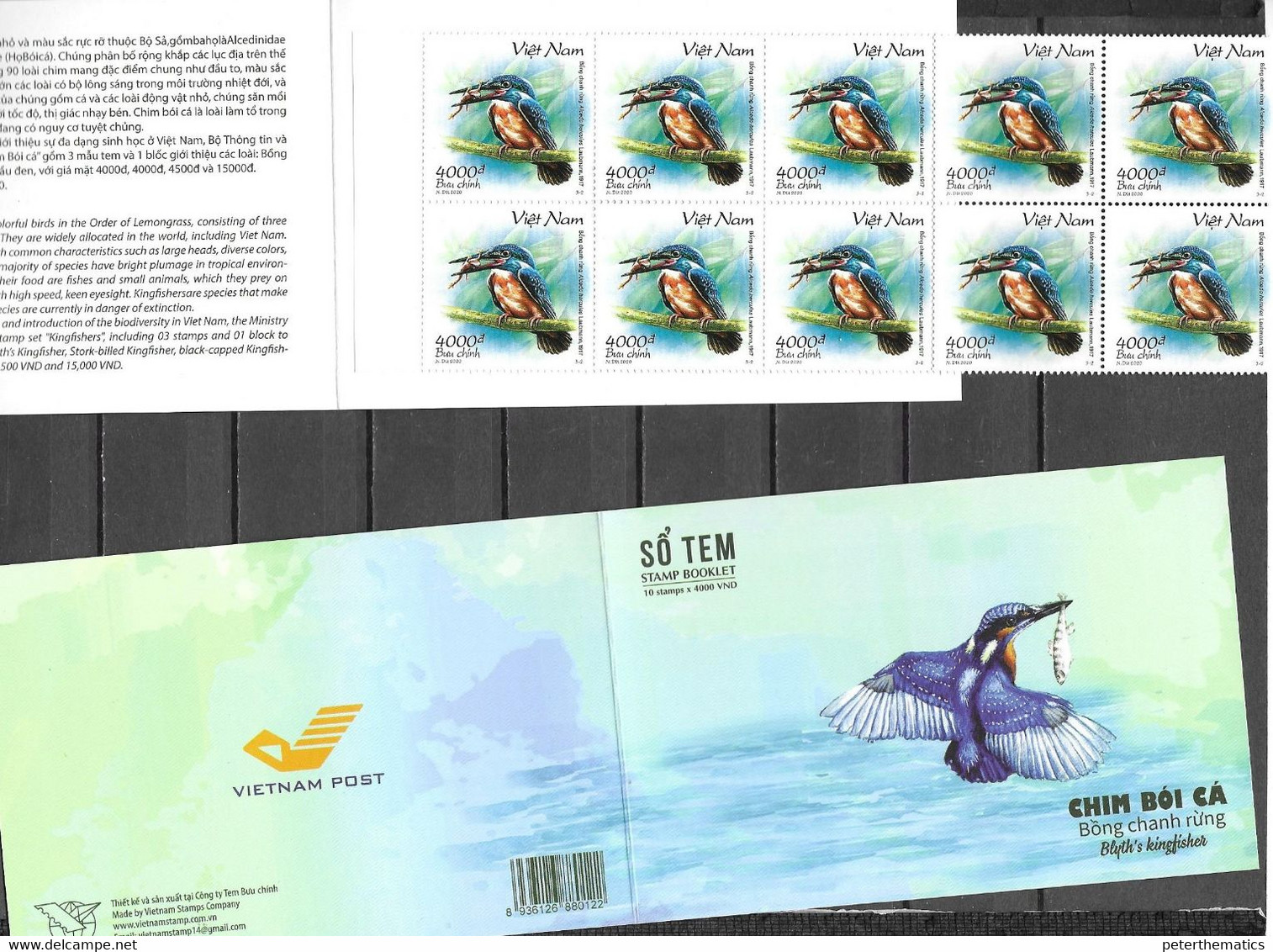 VIETNAM, 2020, MNH, BIRDS, KINGFISHERS, FROGS, BOOKLET OF 10v - Sonstige & Ohne Zuordnung