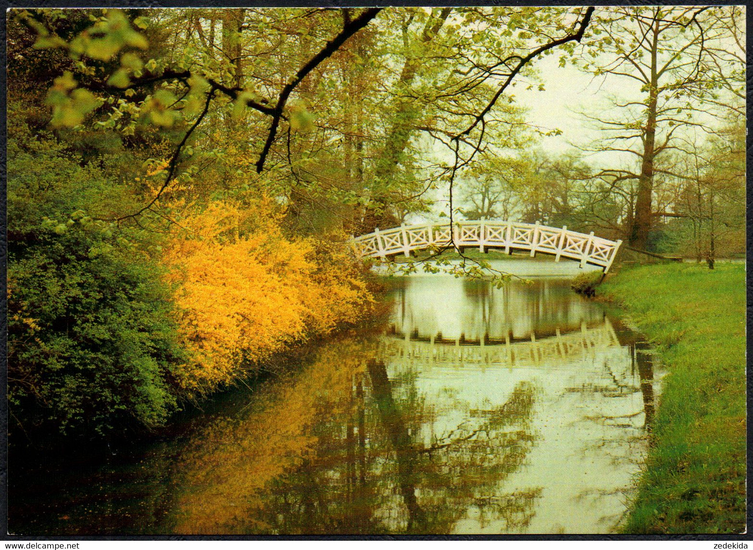 F3658 - TOP Wörlitz Brücke Oranienbaum - Bild Und Heimat Reichenbach - Woerlitz