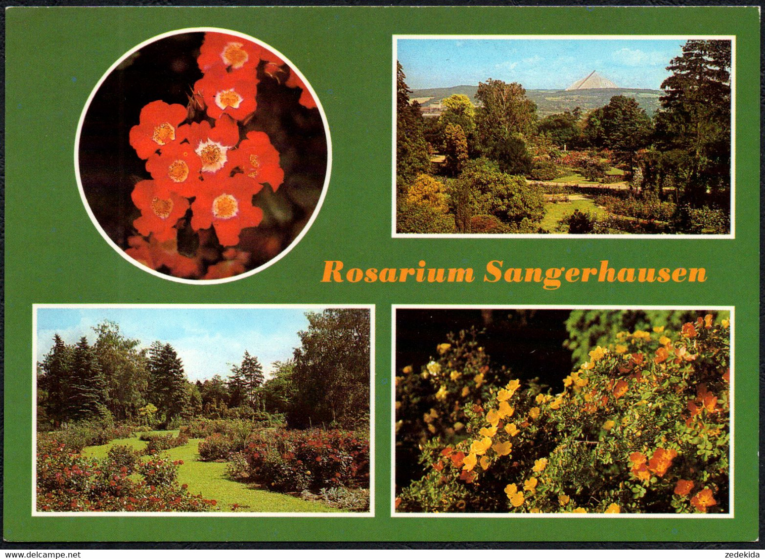 F3659 - TOP Sangerhausen Rosarium - Bild Und Heimat Reichenbach - Sangerhausen