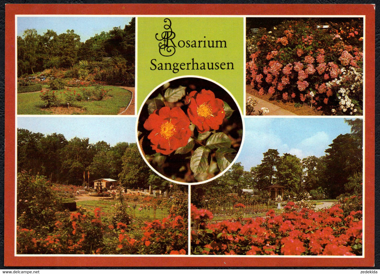 F3660 - TOP Sangerhausen Rosarium - Bild Und Heimat Reichenbach - Sangerhausen