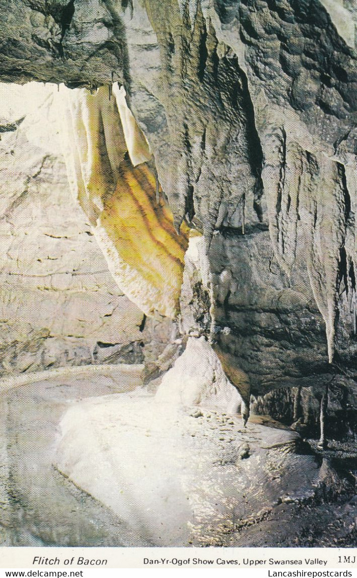 Postcard Flitch Of Bacon Dan Yr Ogof National Show Caves Of Wales Brecon Beacons My Ref B14503 - Breconshire