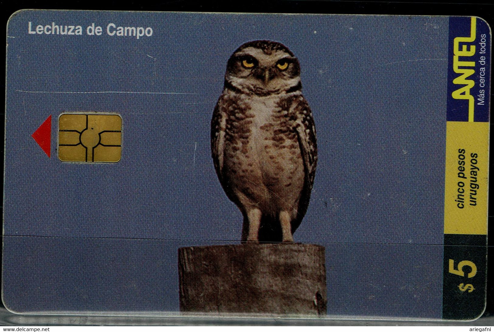 URUGUAY 2000 PHONECARD OWLS USED VF!! - Hiboux & Chouettes