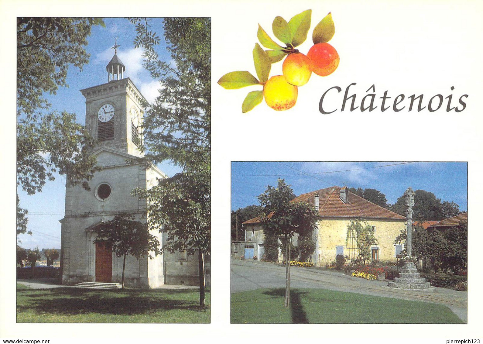 88 - Châtenois - Multivues - Chatenois