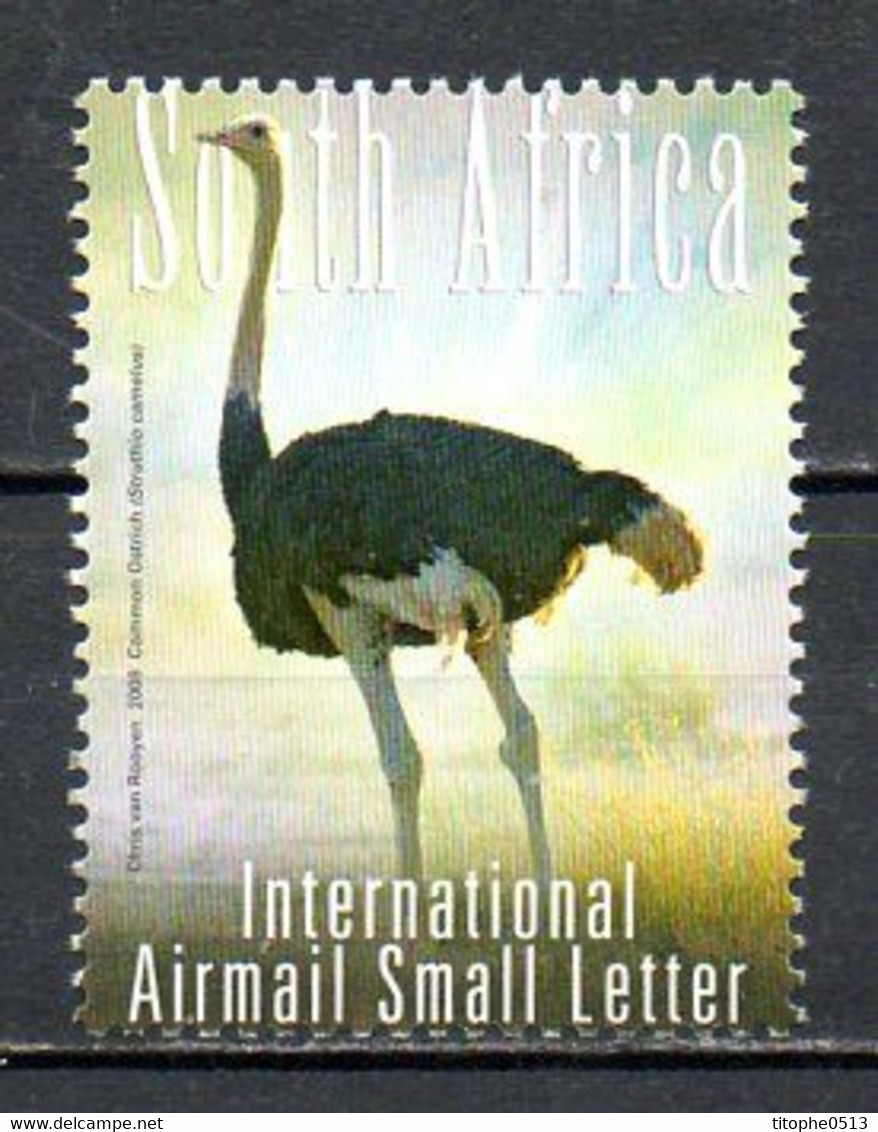 AFRIQUE DU SUD. Timbre De 2008. Autruche. - Struzzi