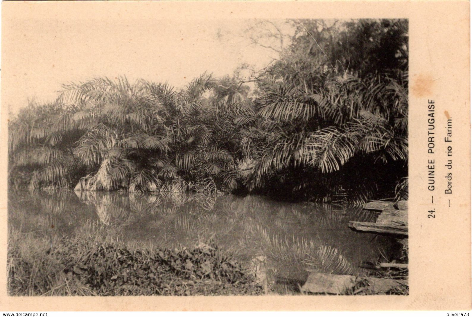 GUINÉ BISSAU - Bords Du Rio Farim - Guinea-Bissau