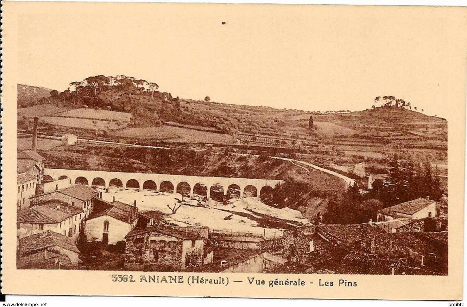 ANIANE - Vue Générale - Les Pins - Aniane