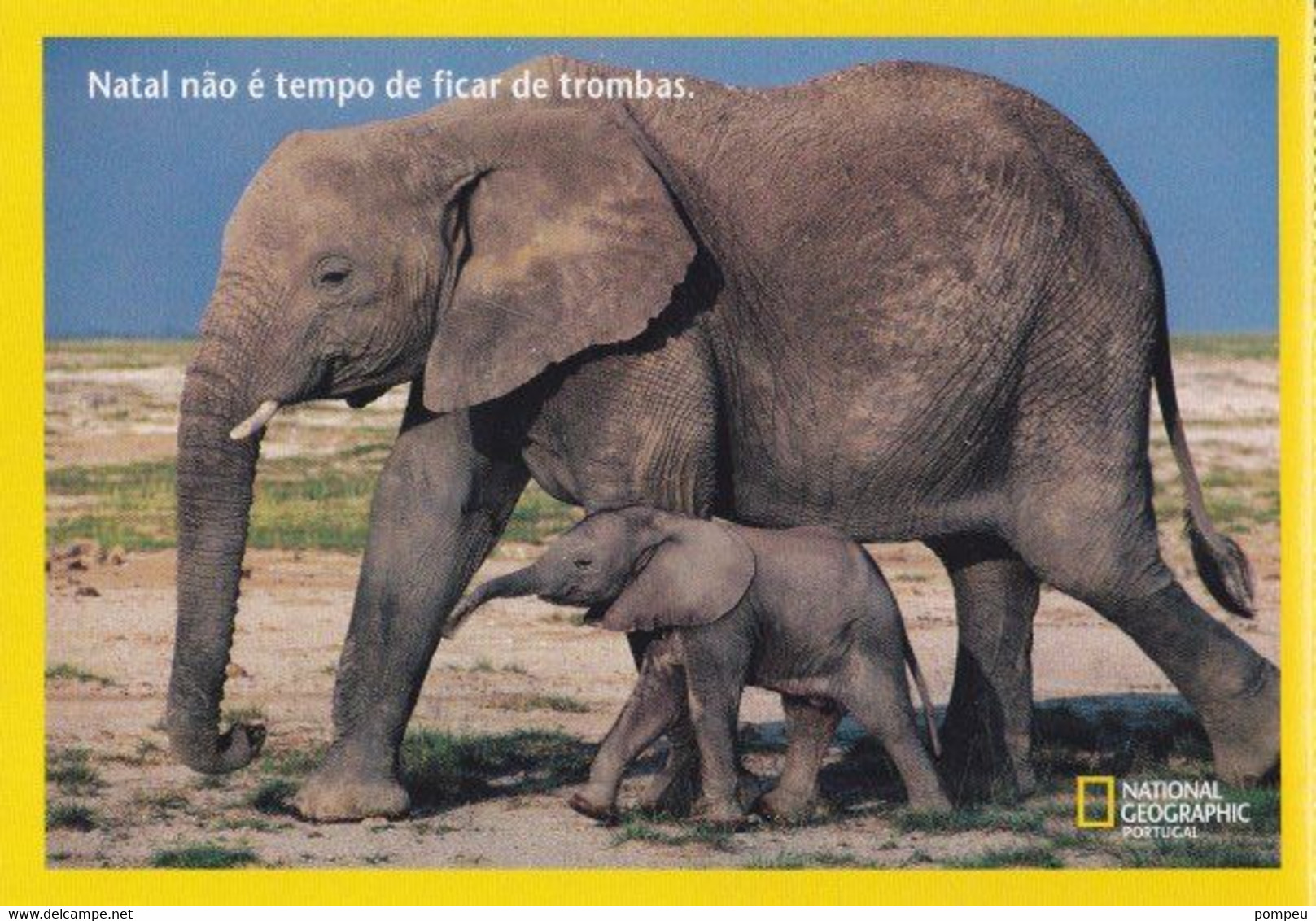 QO - Lote 3 Cartes - NATIONAL GEOGRAPHIC - Portugal:    (neuf) - 5 - 99 Postcards