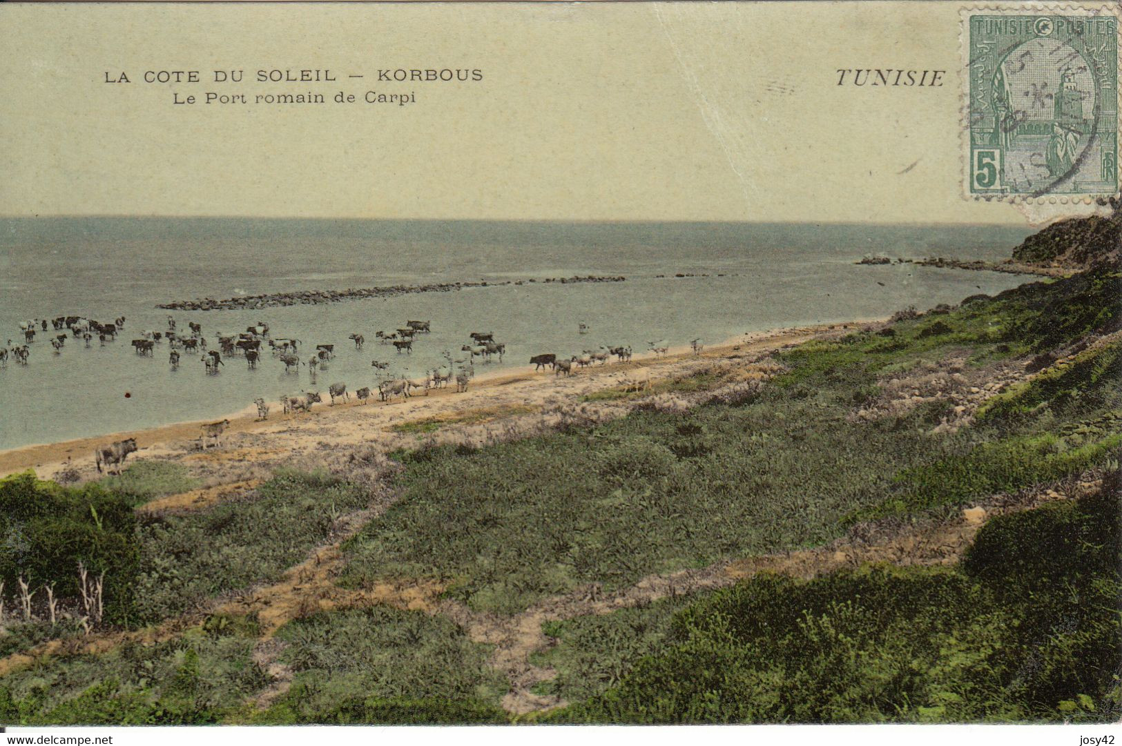 TUNISIE - LOT DE 23 CPA - villes diverses