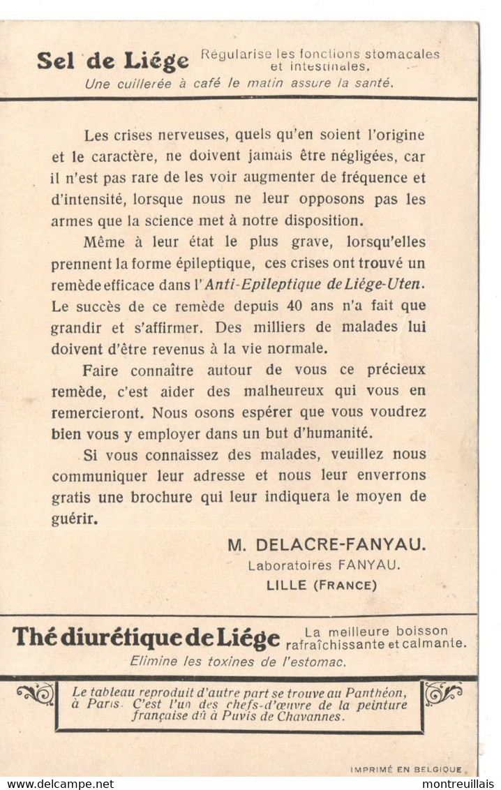 Publicité Sel De Liège Par Laboratoire FANYAU De LILLE, Médicament, Remède, Verso Tableau Peinture - Reclame