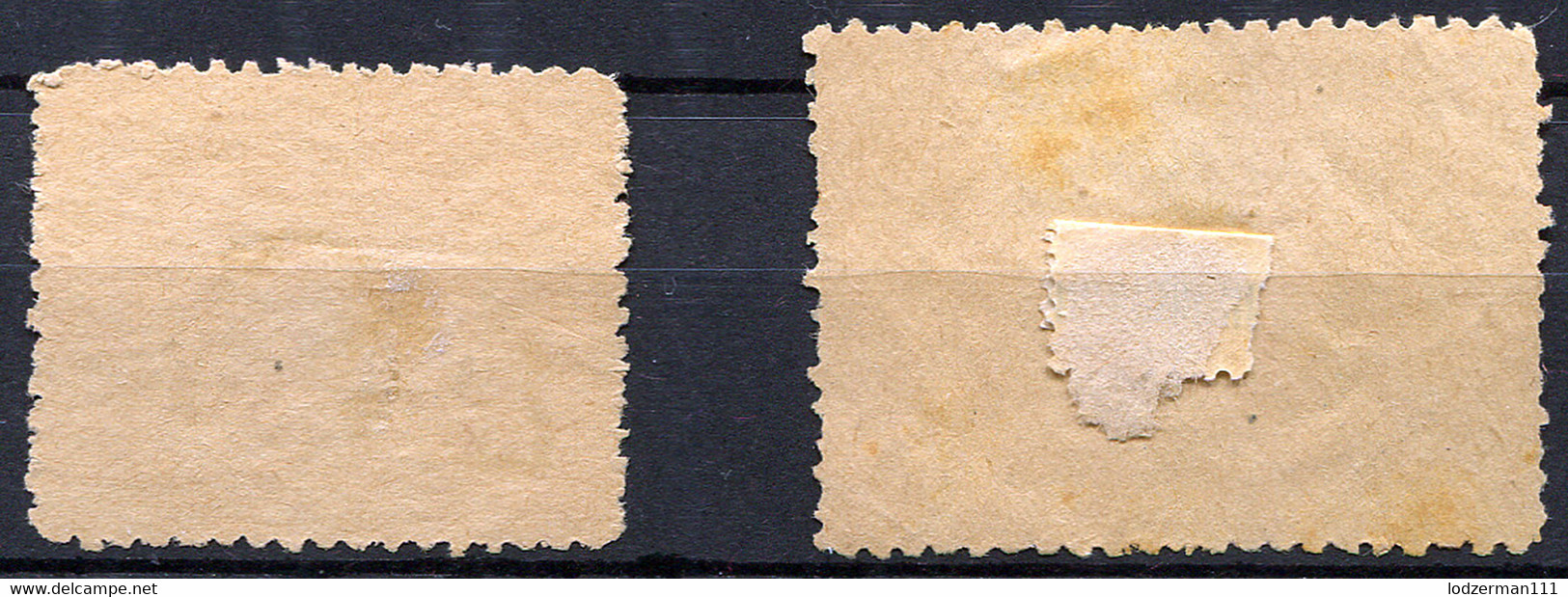 POLAND - Two Telegraph Labels (without Gum) Very Rare - Labels
