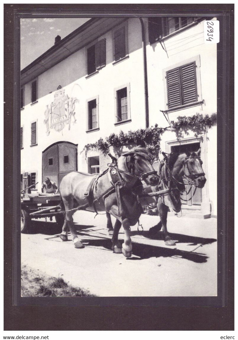 GRÖSSE 10x15cm - NEUNKIRCH KLETTGAU - ATTELAGE - TB - Neunkirch