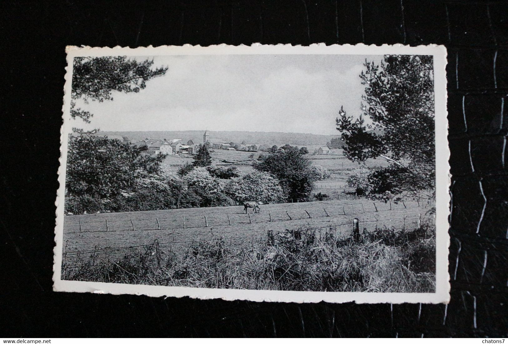 D 127 -   Namur  Bièvre - Naomé  Panorama - Bievre