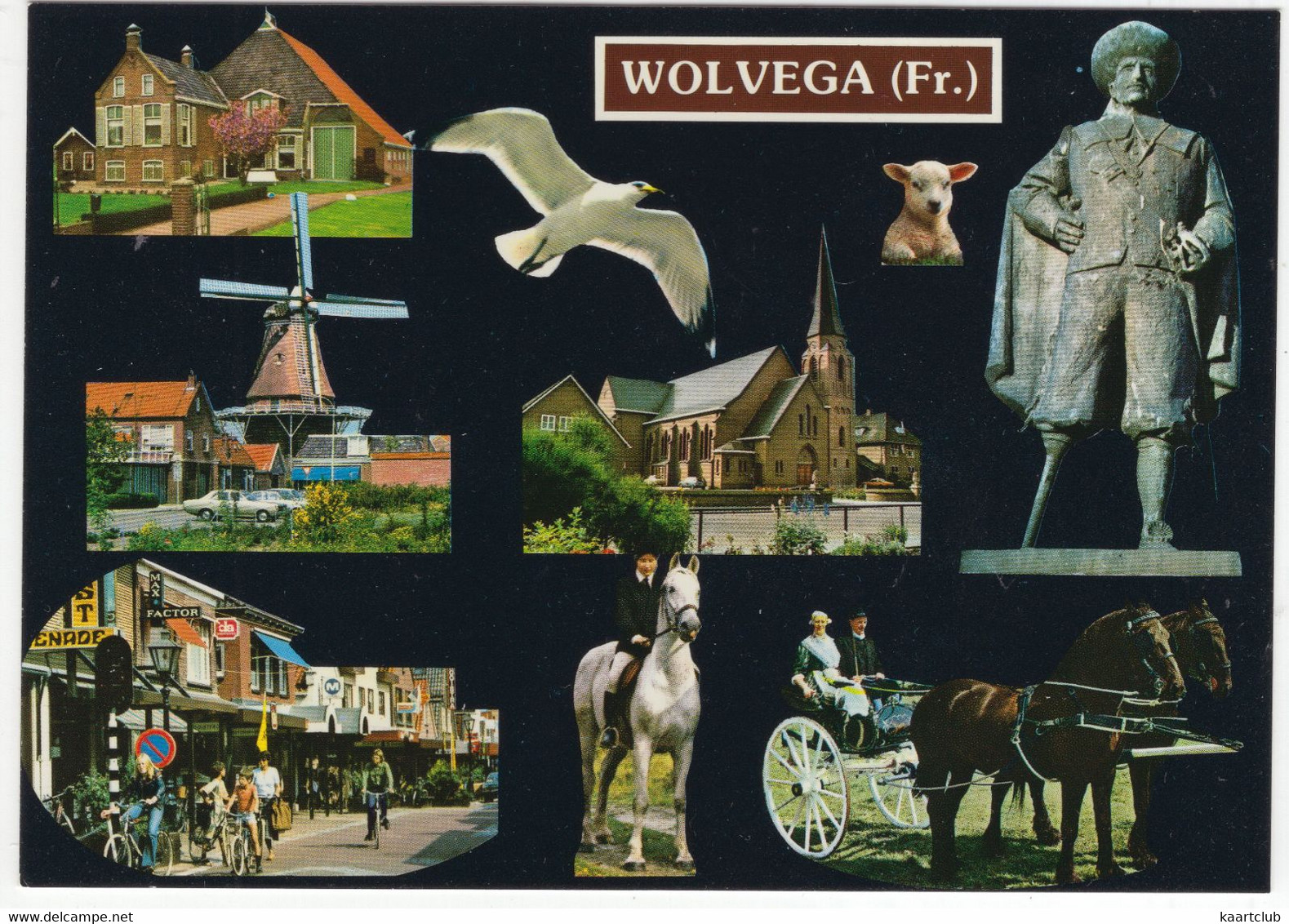 Wolvega - Pieter Stuyvesant Standbeeld, Paarden, Molen, Kerk E.d. - (Friesland, Nederland) - Wolvega